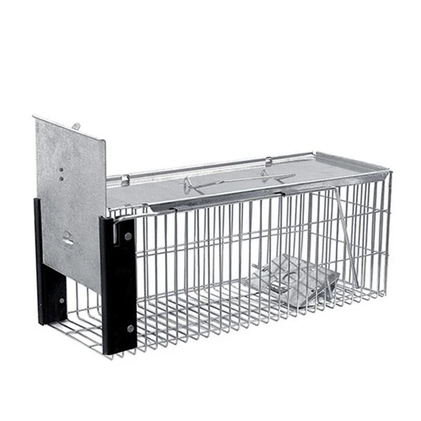 Rat live cage trap