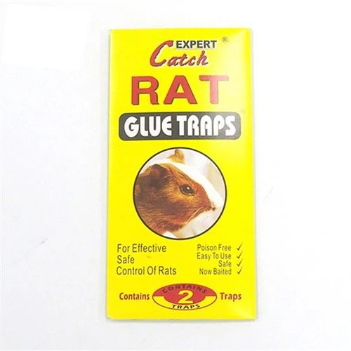 Липкие ловушки мыши