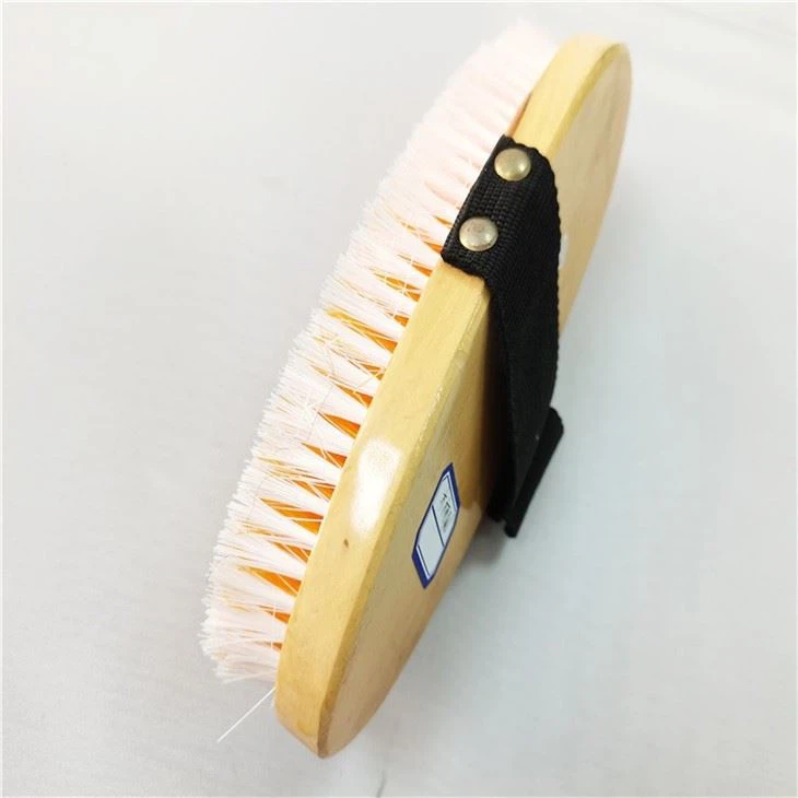 Best Horse Grooming Kit Equine Grooming Kit