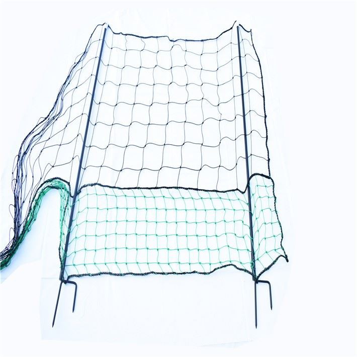 Chicken Run Netting
