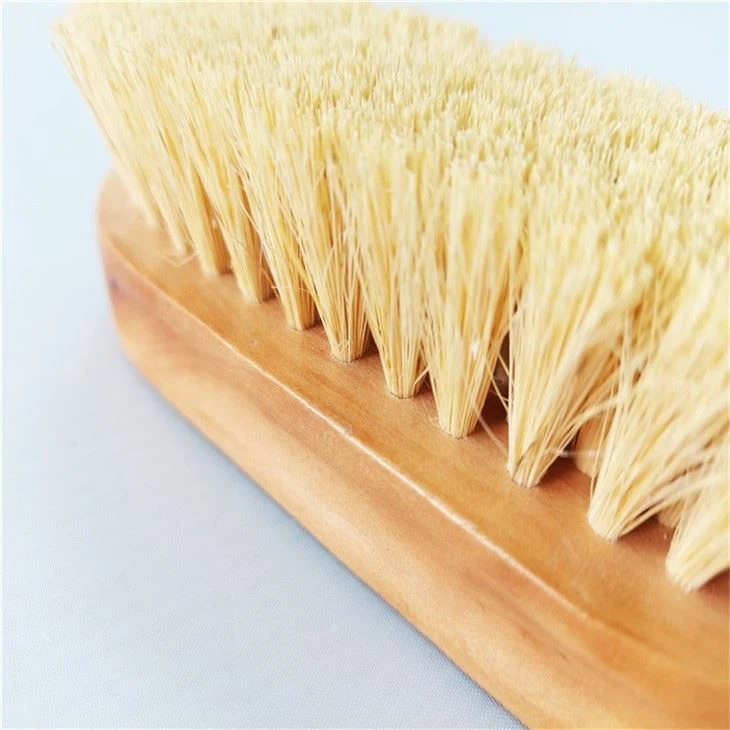 Grooming A Horse Haas Horse Brushes