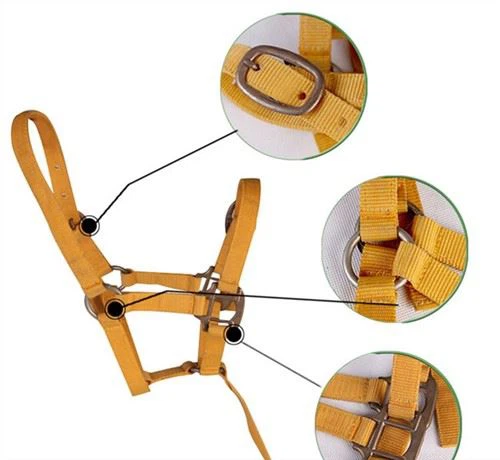 Крутые недоуздки Необычные недоуздки для лошадей