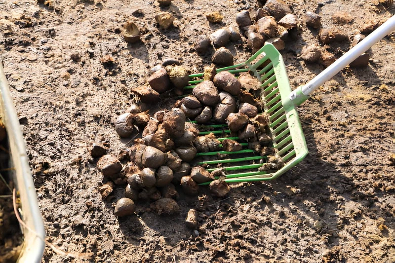 Stable Forks Stable Forks