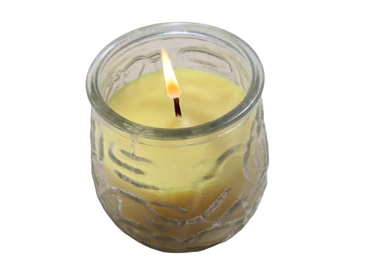 Outdoor Citronella Mosquito Repellent Candle